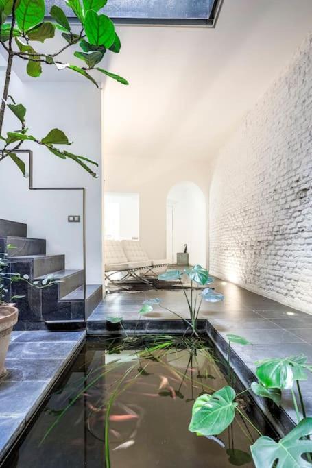 Exclusivo Apartamento De Diseno Centro Sevilla Matahacas Bajo Exterior foto