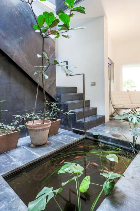 Exclusivo Apartamento De Diseno Centro Sevilla Matahacas Bajo Exterior foto