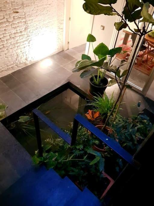 Exclusivo Apartamento De Diseno Centro Sevilla Matahacas Bajo Exterior foto